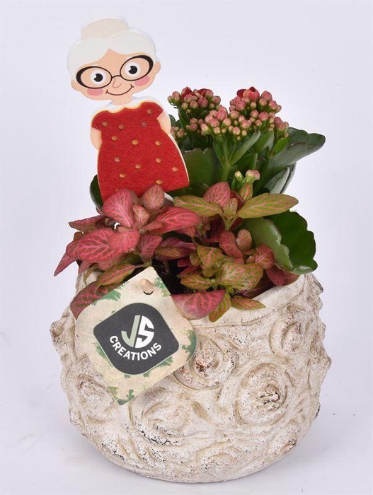 <h4>Cement pot bloemdecor 13,5cm</h4>