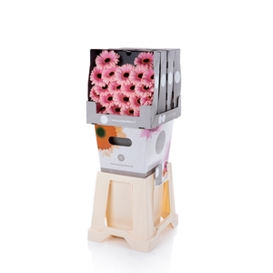 Germini Esmee Diamond