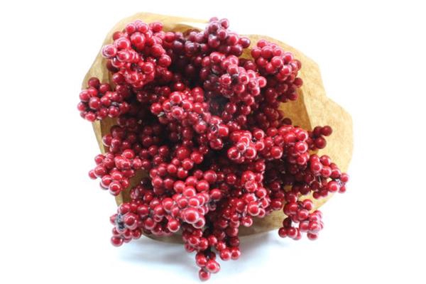 <h4>Droog Ilex Rood X15</h4>