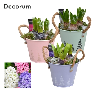 Hyacint Bucket Maxi HL10642 [LOVELY COLORS]