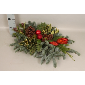 Natuur tak XXL Red 80/50