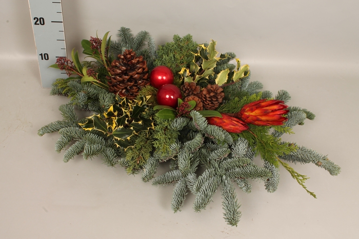 <h4>Natuur tak XXL Red 80/50</h4>