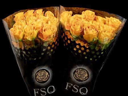 <h4>R Gr Heart Of Gold</h4>