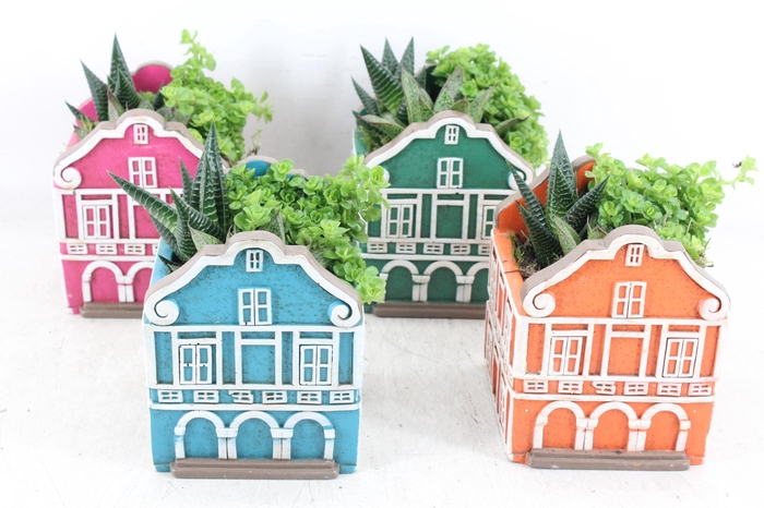 <h4>arr3 SN - Casa caribbean groot x6</h4>