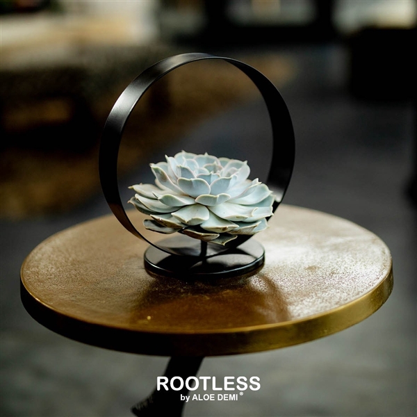 <h4>ROOTLESS Echeveria, Black metal large</h4>