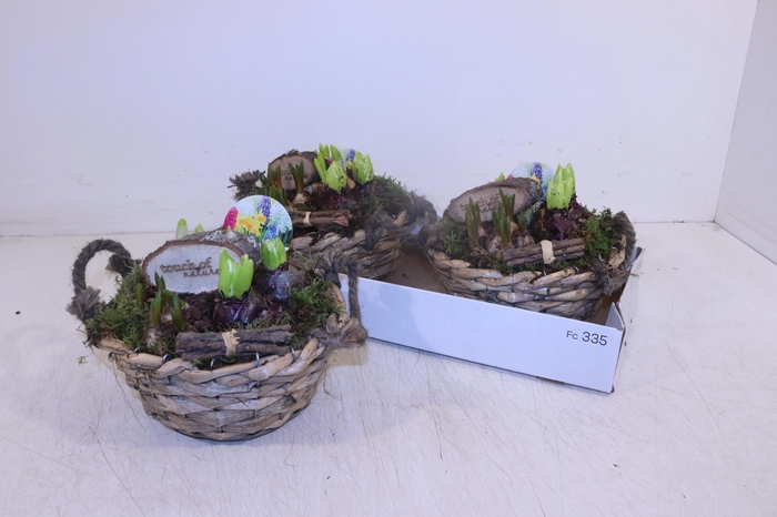 <h4>ARR BOL KNOLGEWAS</h4>