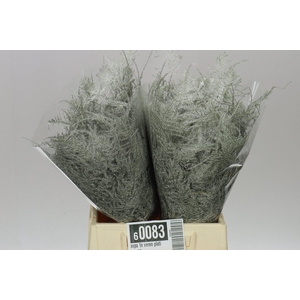 Aspa 1e Veren Platina X50