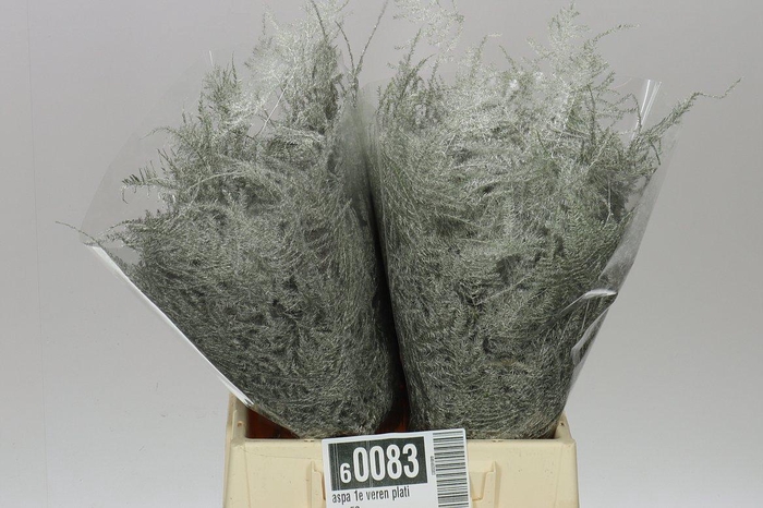 <h4>Aspa 1e Veren Platina X50</h4>