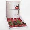700123 Rode magnetische potjes met display
