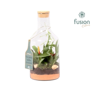 Green Bottle Fles Small met Bromelia