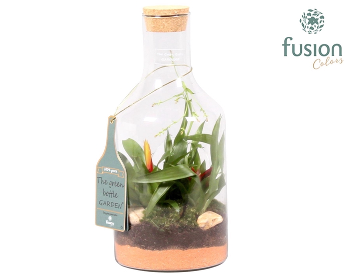 <h4>Green Bottle Fles Small met Bromelia</h4>