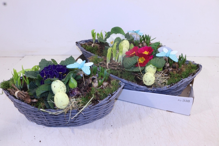 <h4>ARR TUINPLANTEN</h4>