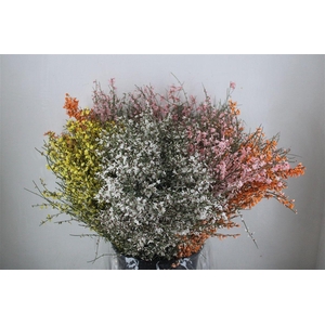 Ginster 200gr Mix Pbs