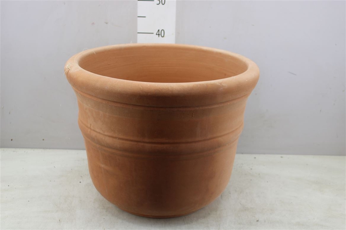 <h4>Terraspot Terra Cotta X</h4>