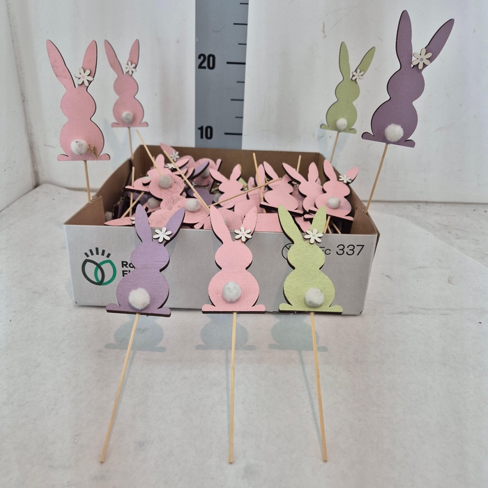 <h4>HUIS EN TUINDECO H%</h4>