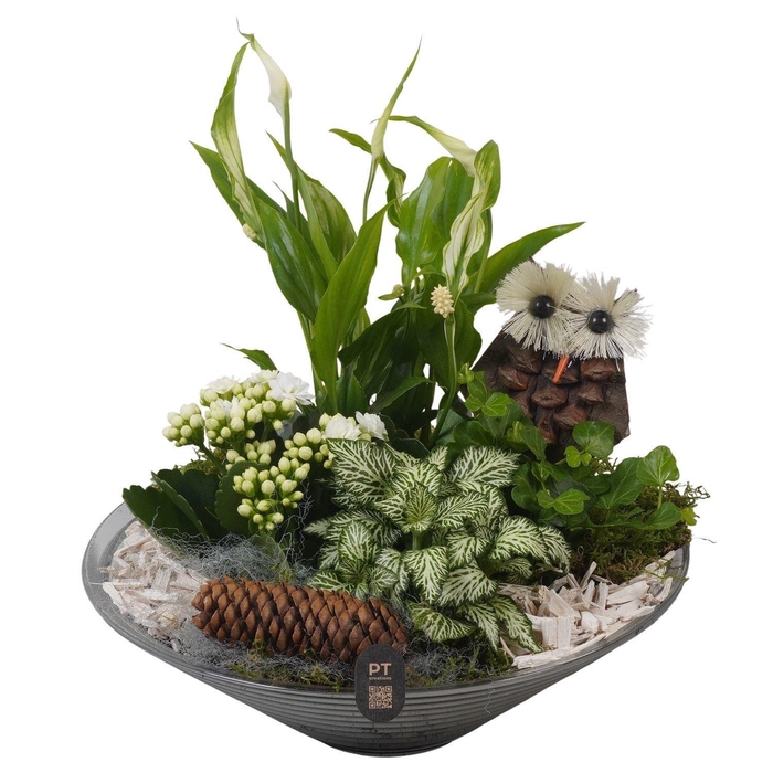 <h4>Arr.   Planten L%</h4>