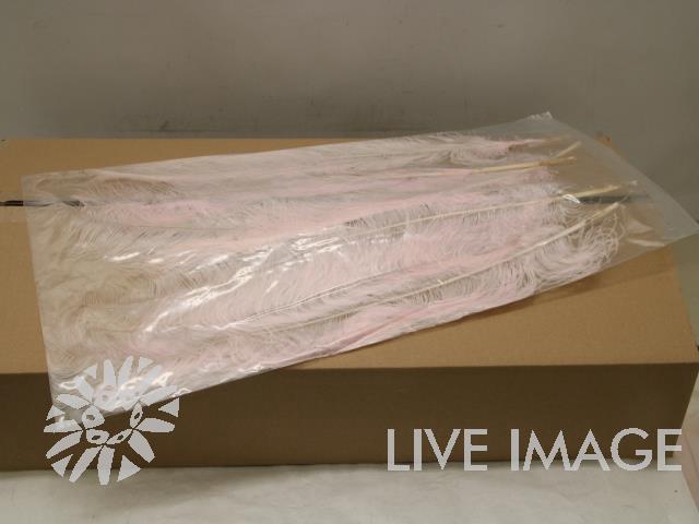Feather ostrich light pink 5st/bunch