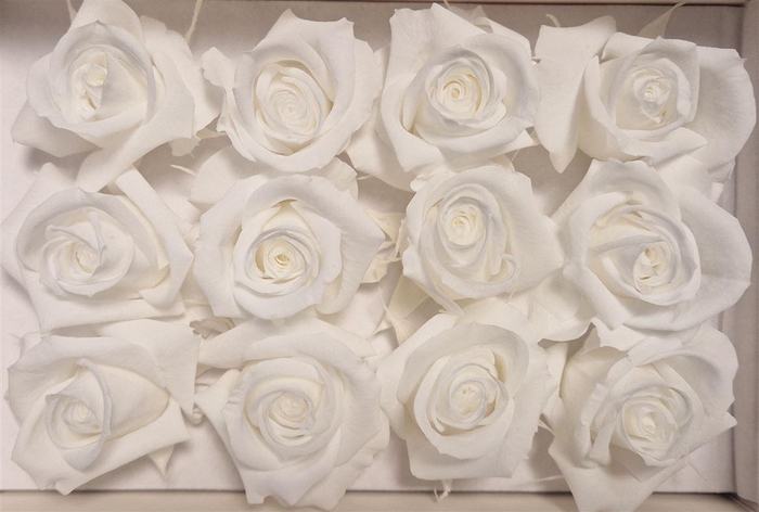 <h4>Ro Pres Mini White</h4>