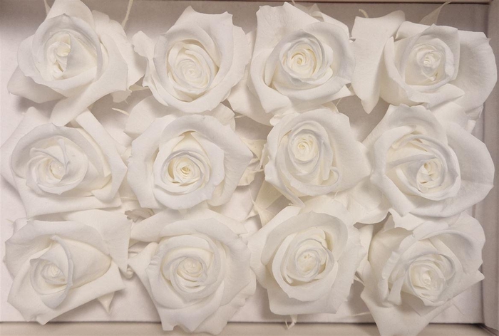 <h4>Ro Pres Mini White</h4>