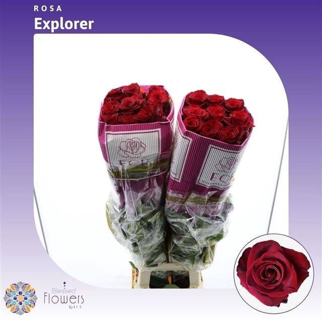 <h4>R GR EXPLORER</h4>