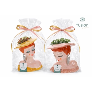 Keramiek Dames vase met Fittonia