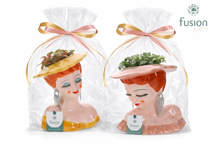 <h4>Keramiek Dames vase met Fittonia</h4>