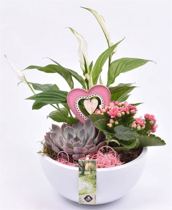 <h4>Keramiek schaal wit 20cm</h4>