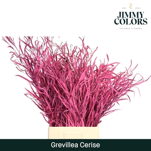 Grevillea (bunch) Cerise