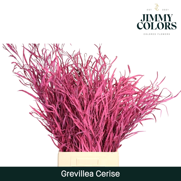 <h4>Grevillea (bunch) Cerise</h4>