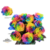 Rosa Ec Painted Magic Rainbow