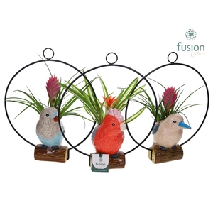 Keramiek vogel in de ring met Bromelia