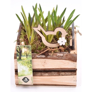 Hout vierk. met handvat 12,5x12,5cm