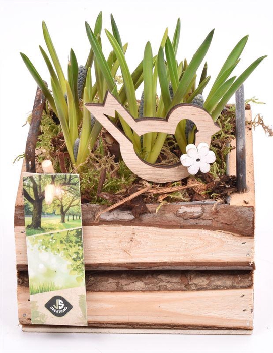 <h4>Hout vierk. met handvat 12,5x12,5cm</h4>