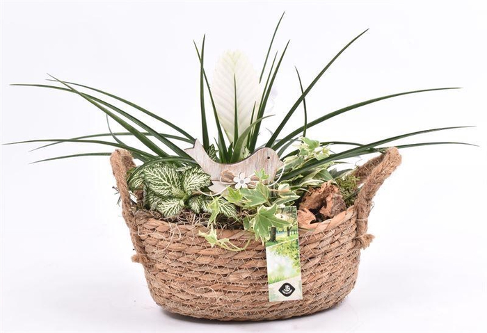 <h4>Jutemand ovaal met oor 22x15cm</h4>