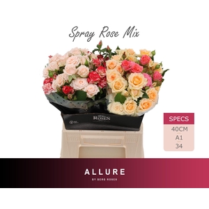 R TR OV ALLURE 40 cm