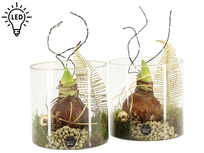 <h4>61922: X-mas arrangement met LED</h4>