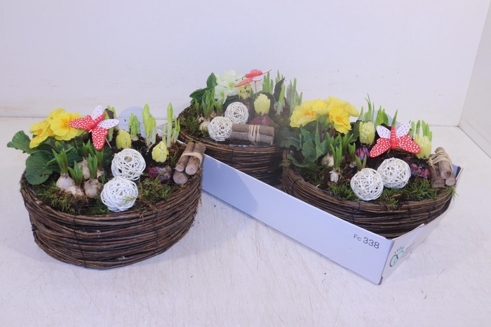 <h4>ARR TUINPLANTEN</h4>