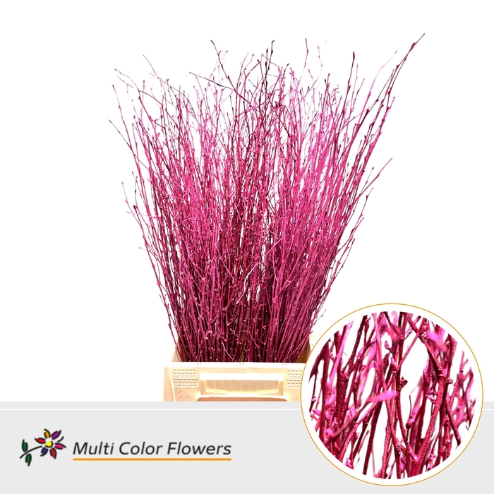 <h4>Berk Erica metallic</h4>