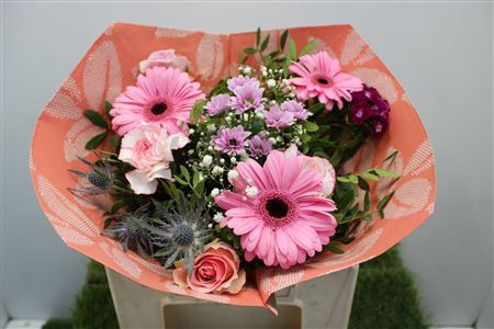 Gem Boe Middel Rose 25 Stelen Vers