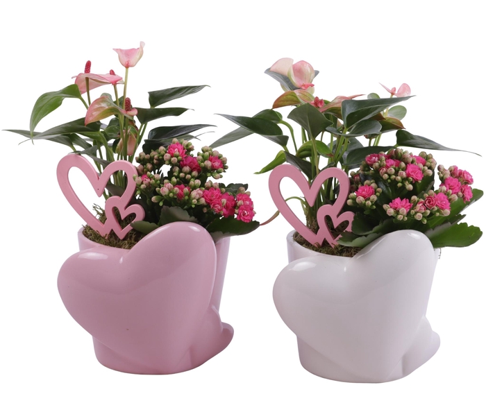 <h4>Mothersday Arr. Indoor Ceramic Heart Pot Pink/White Ø16cm 2PP</h4>