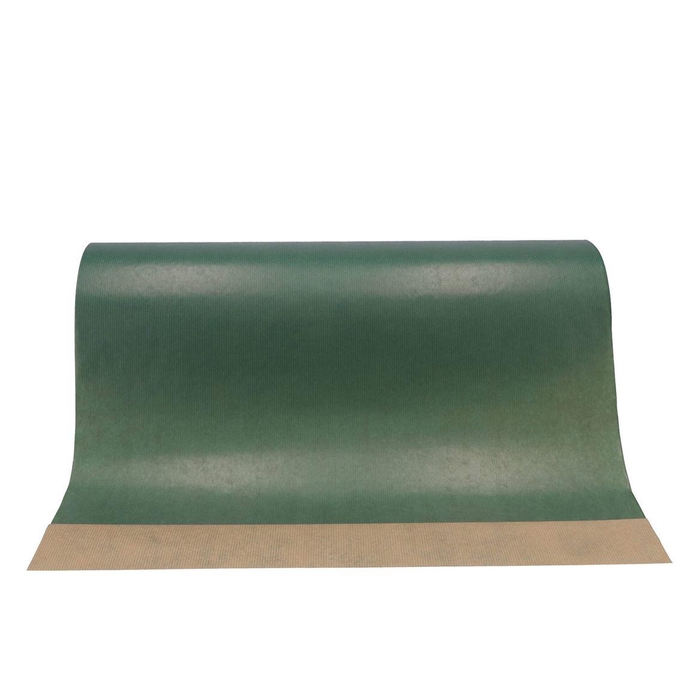 <h4>Paper 60cm Brown 12kg Dark Green</h4>