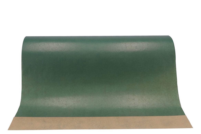 Paper 60cm Brown 12kg Dark Green