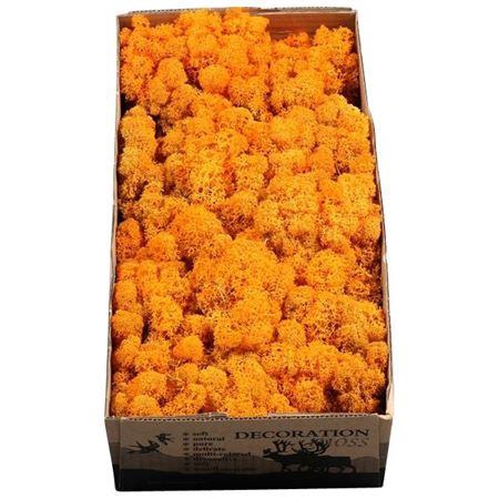 <h4>Ijslandmos (reindeer) Oranje</h4>