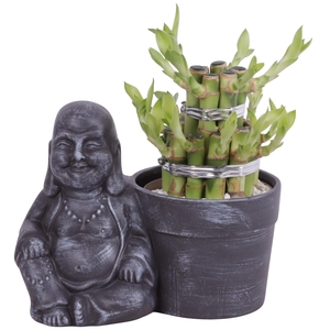 Lucky Bamboo Shape Round 2B in Ceramic Sitting Buddha Ø19cm