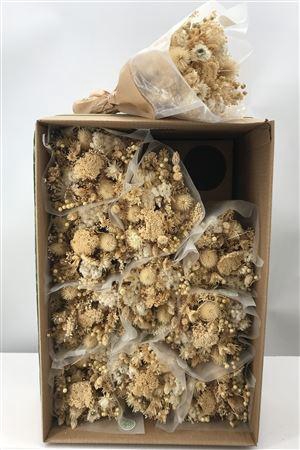 <h4>Dr Bqt Dried Fantasy Ecrù Naturale</h4>