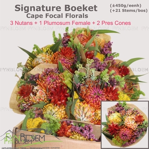 PROTEA PER BOS