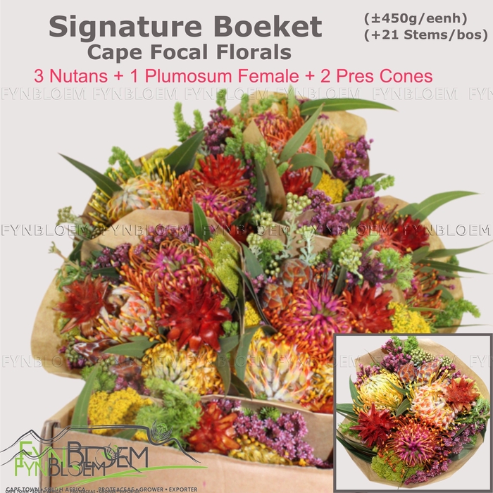 <h4>PROTEA PER BOS</h4>