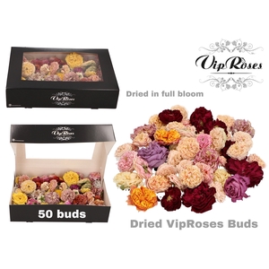 DRIED VIPROSES BUDS