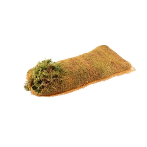 Mos Sphagnum ( Net Bag )
