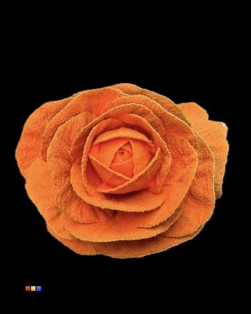 <h4>Brassica Powder Orange</h4>